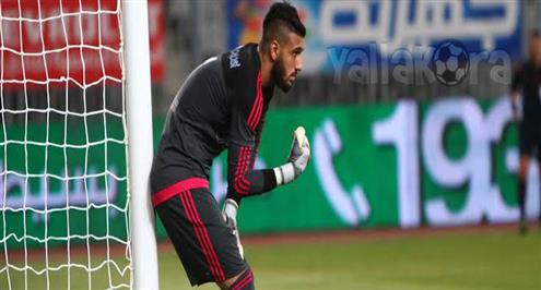 الشناوي: إكرامي أفضل حارس زاملته وكلانا "واحد" في المنتخب